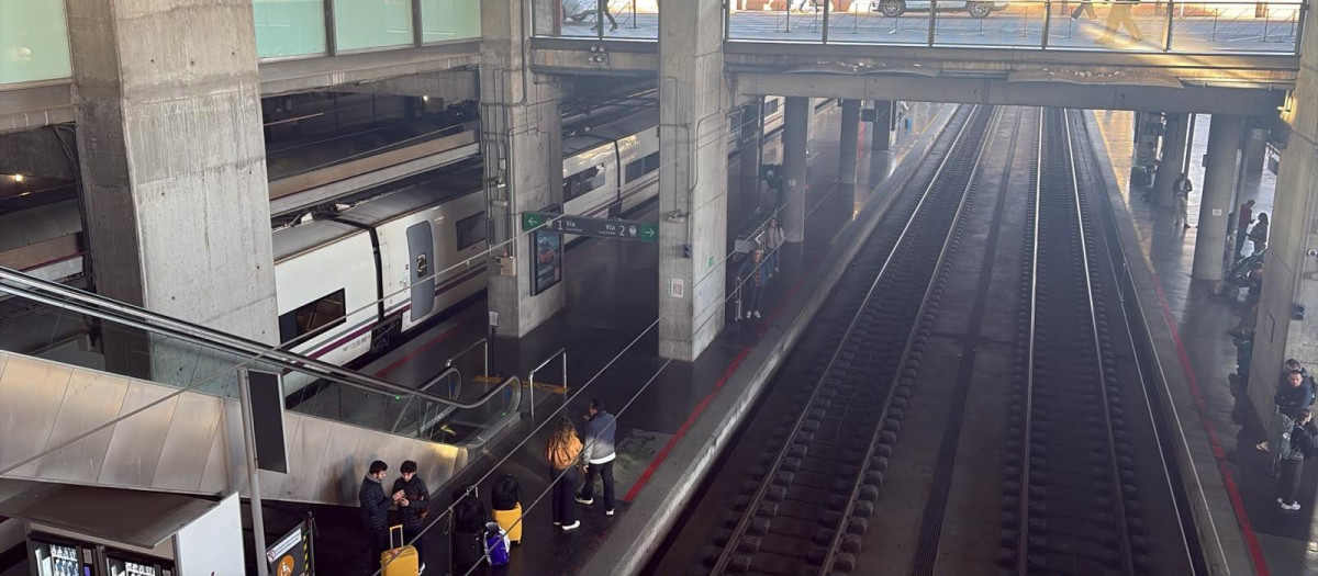 El tren detenido en la estación de Córdoba