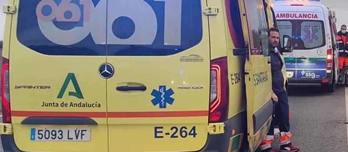 La presencia de animales en las carreteras supone un peligro grave para los conductores