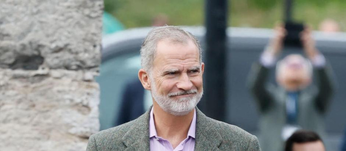 El Rey Felipe VI