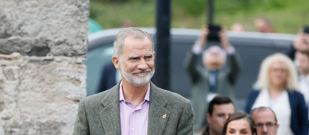 El Rey Felipe VI