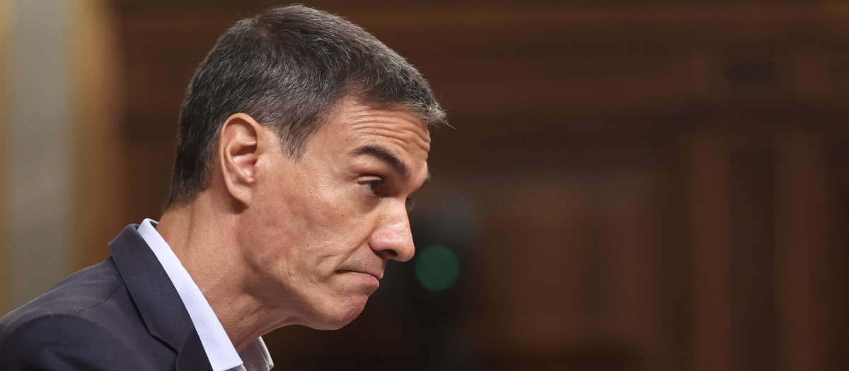 El presidente del Gobierno, Pedro Sánchez, durante una sesión plenaria en el Congreso de los Diputados
