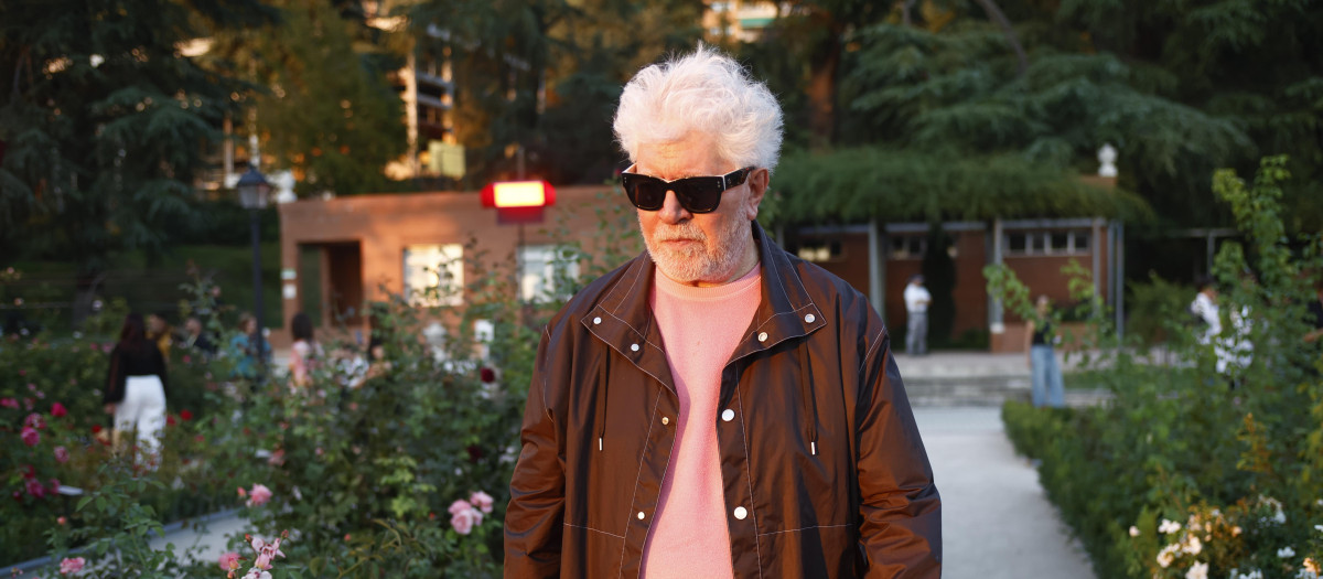 El director de cine Pedro Almodóvar