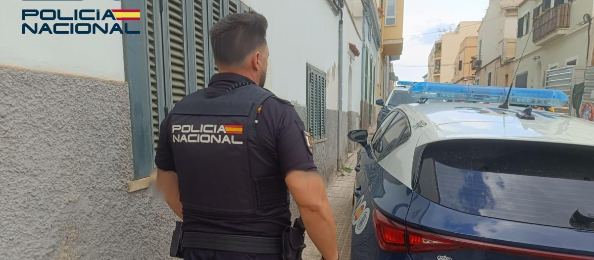 Los hechos ocurrían en una finca del término de Manacor

REMITIDA / HANDOUT por POLICÍA NACIONAL
Fotografía remitida a medios de comunicación exclusivamente para ilustrar la noticia a la que hace referencia la imagen, y citando la procedencia de la imagen en la firma
26/10/2026