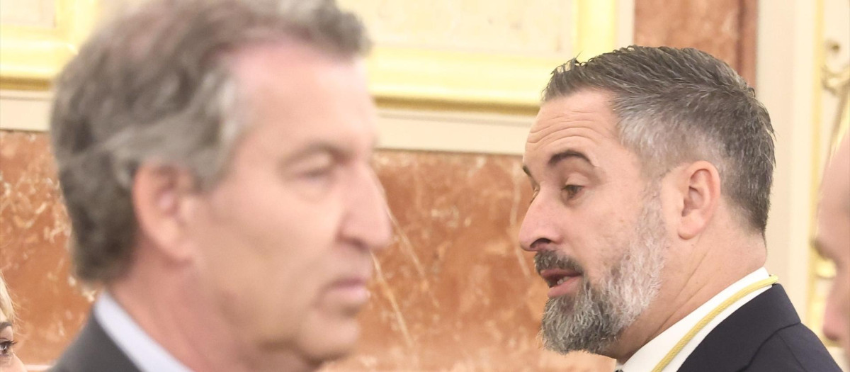El presidente de Vox, Santiago Abascal (d), y el presidente del PP, Alberto Núñez Feijóo