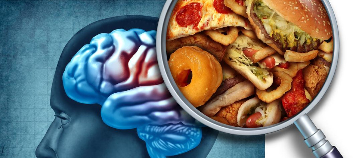 La obesidad no solo afecta al metabolismo, sino también al cerebro