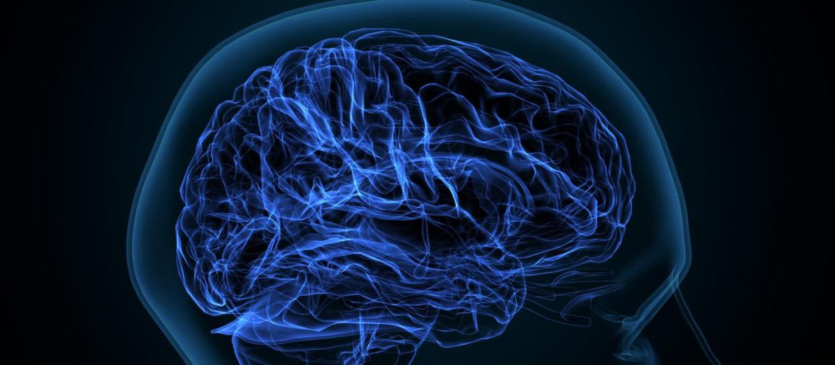 Ilustración 3D cerebral