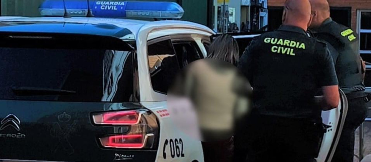 Una mujer detenida en Zamora por sustracción de menores