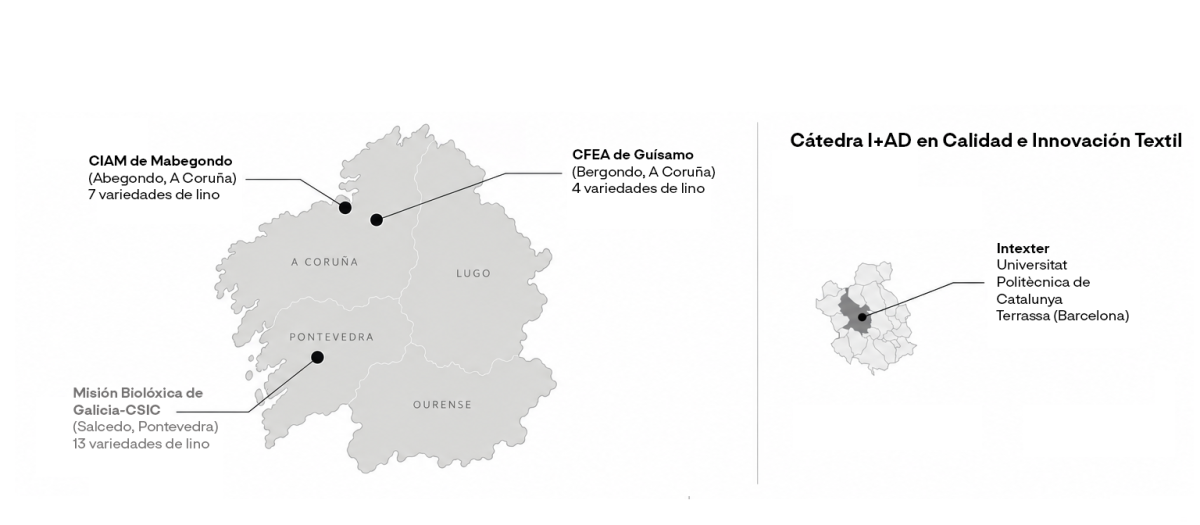 GRÁFICO - Plantaciones piloto de lino gallego