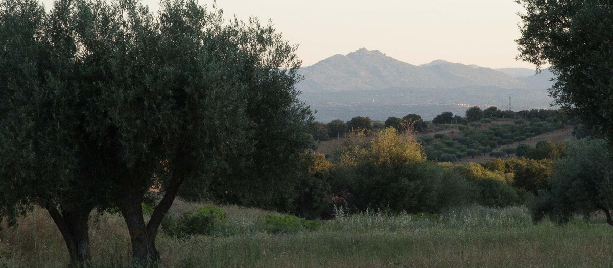 Campiña de Recordarium