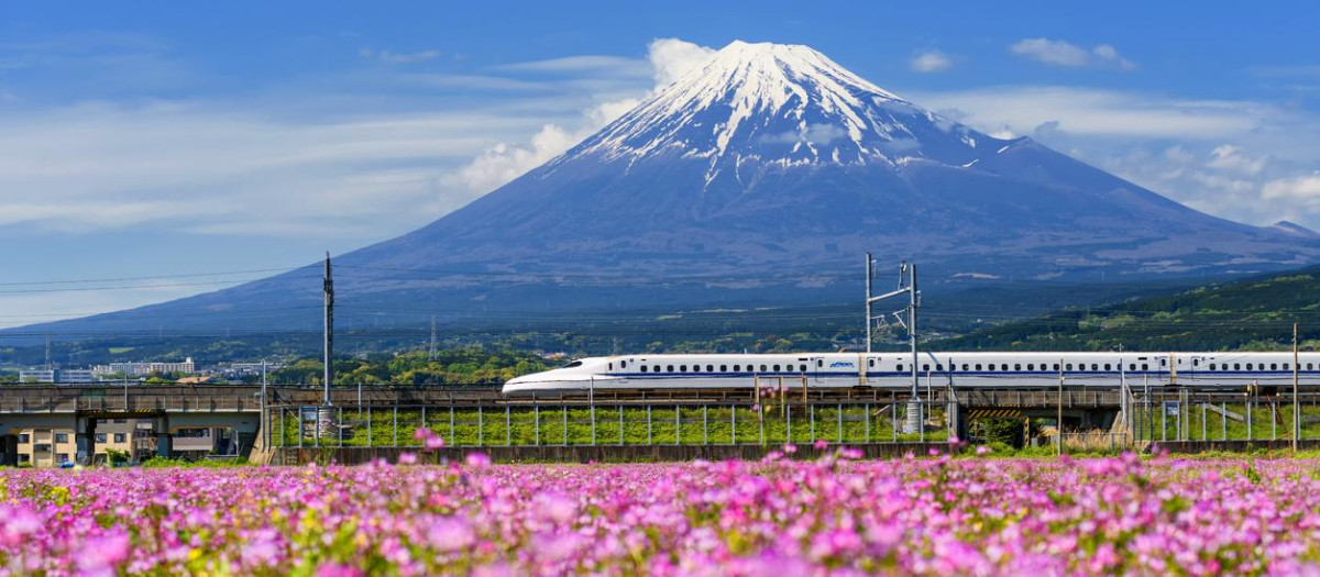 Tren bala Shinkansen