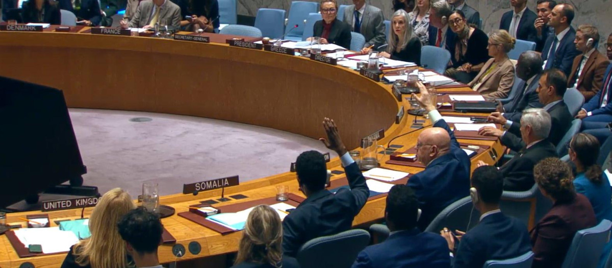 El Consejo de Seguridad de la ONU