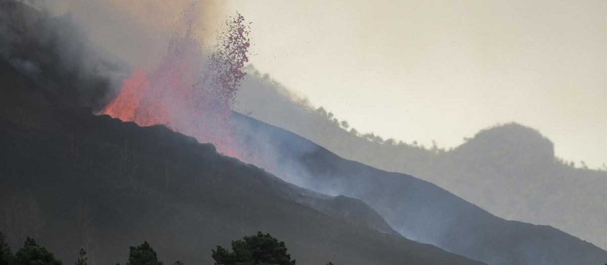 La erupción volcánica de La Palma continúa activa, con abundante material magmático que impide la recolección de las plataneras.