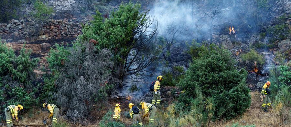 Medios aéreos y terrestres participaron en la labores de extinción del incendio de este verano en el término de El Tiemblo, en Ávila