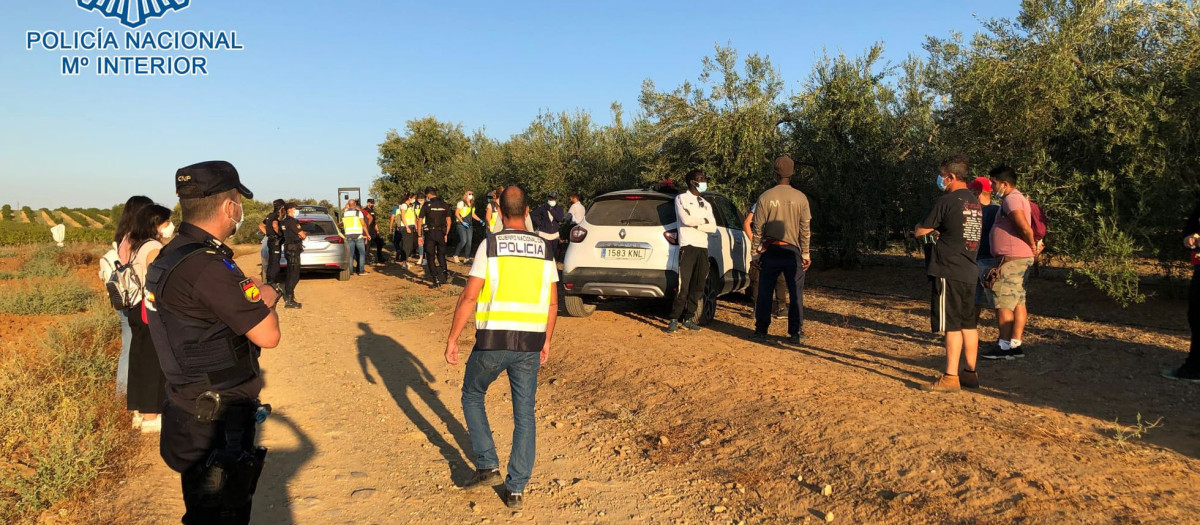Detenciones en Carmona (Sevilla)