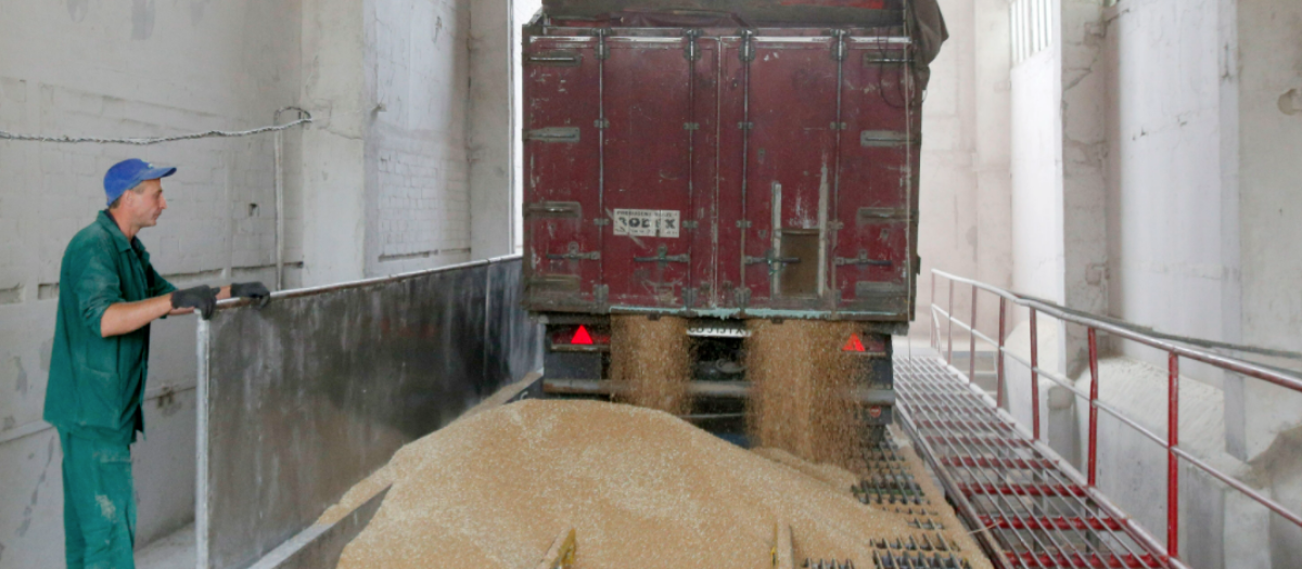 Aparte del cereal, también subieron los precios del arroz y los de la cebada