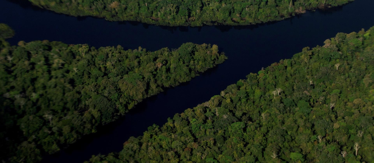 Foto aérea de la selva amazónica, cerca de Tabatinga, en el Amazonas (Brasil)