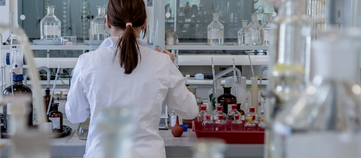 investigación