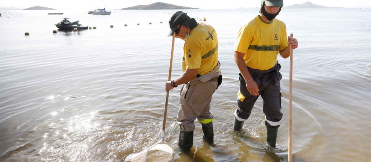 El Mar Menor constituye una de las zonas más afectadas de la Península por la contaminación del agua