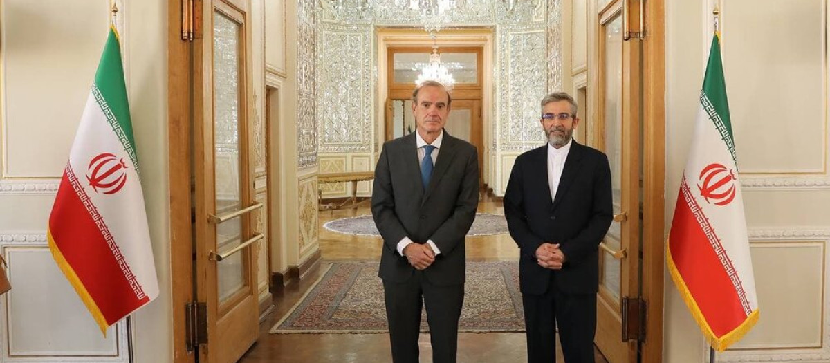 Enrique Mora (izqu.), comisionado de la UE para el diferendo nuclear y Ali Bagheri, su homólogo iraní en Viena