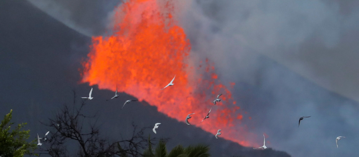 Erupción del volcán de Cumbre Vieja en La Palma