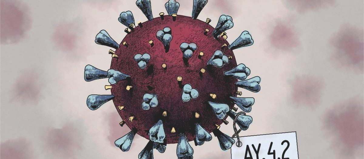 ilustracion coronavirus apaisada