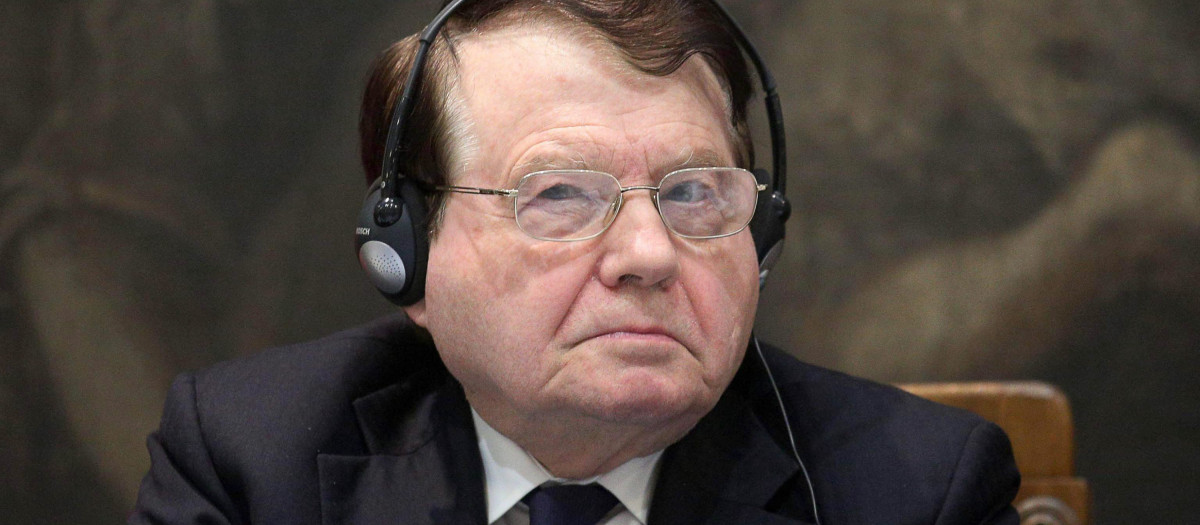 ADM101. Rome (Italy), 30/11/2012.- French virologist and winner of the 2008 Nobel Prize in Medicine or Physiology Luc Montagnier during a press conference about 'World AIDS Day' in Rome, Italy, 30 November 2012. World AIDS Day occurs annually on 01 December and sees people all over the world coming together to show their support for people with HIV, remembering those who died because of it and ultimately trying to fight it. EFE/EPA/ALESSANDRO DI MEO