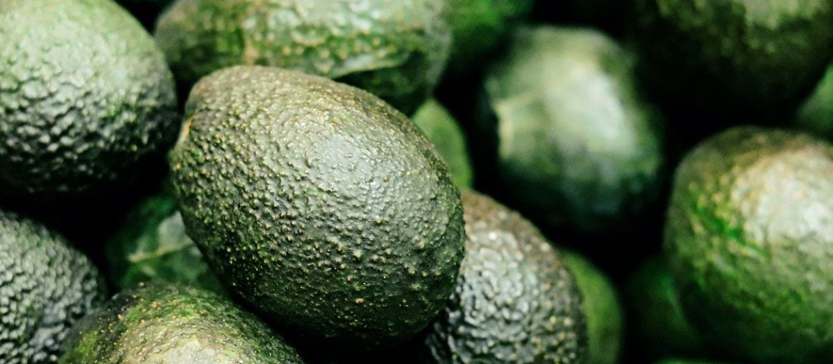 Los agricultores de Málaga solicitan nuevas infraestructuras para aumentar el riego