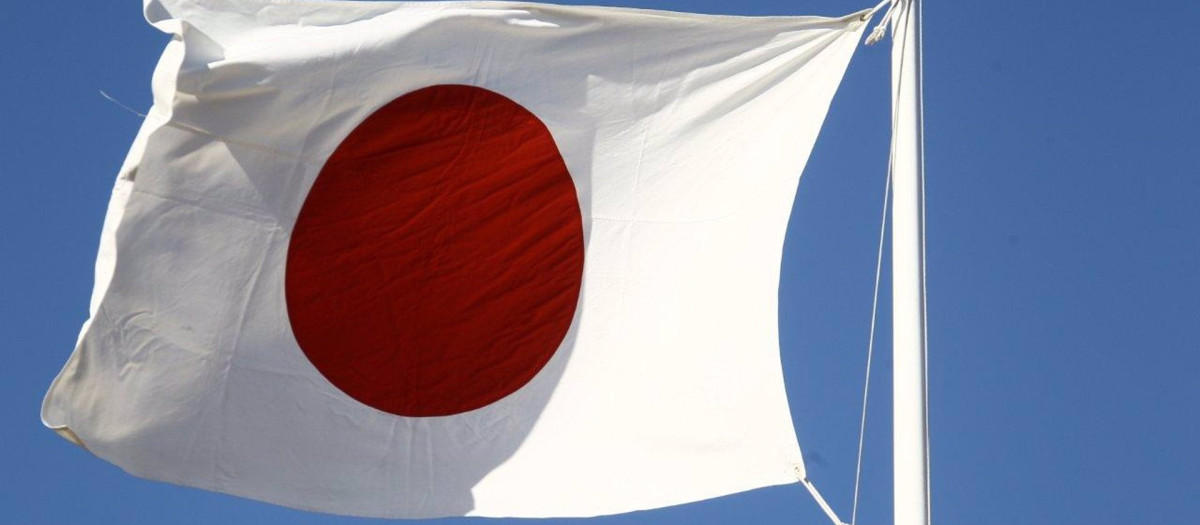 Las exportaciones de Japón en 2021 crecieron un 11,6%, después del desplome del 11,8% en 2020