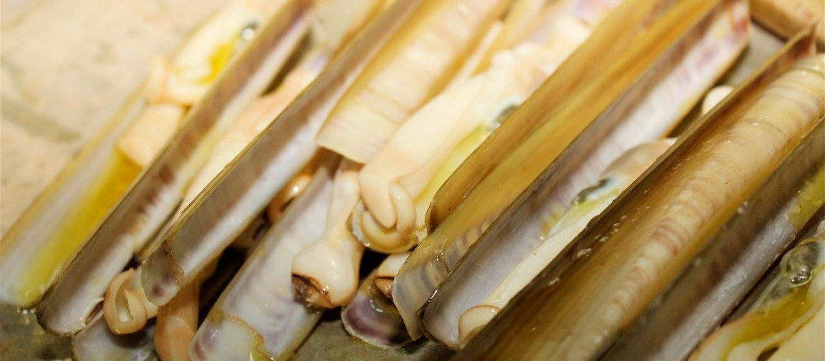 Los longueirones típicos de la zona