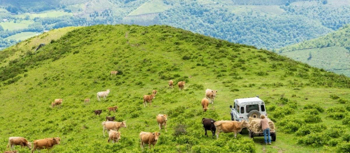 El inicio de la guerra en Ucrania empeorará la tormenta perfecta que ya sufre el campo español con la falta de lluvias