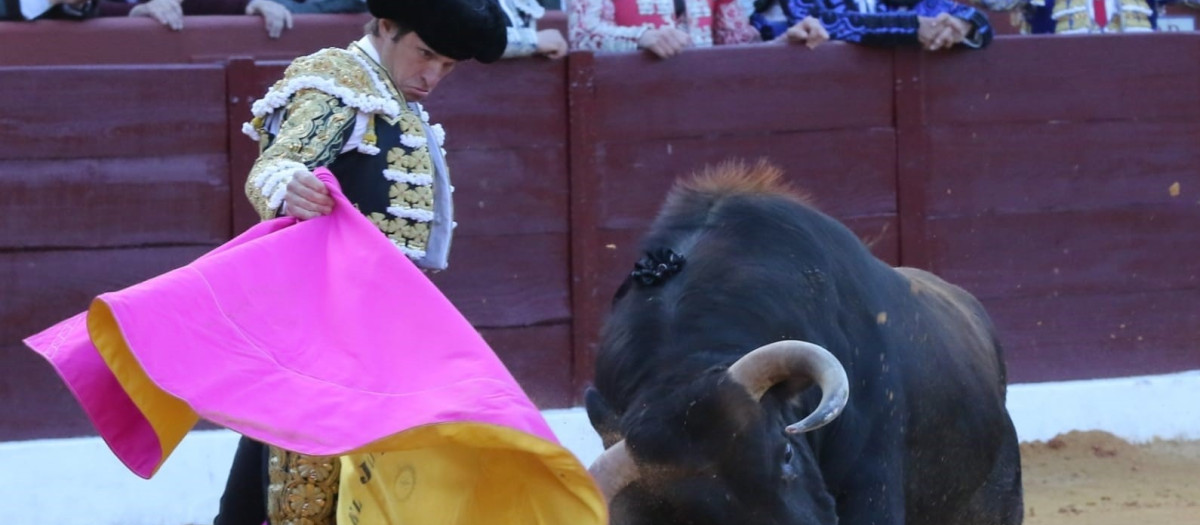 Fusión Internacional por la tauromaquia. FIT