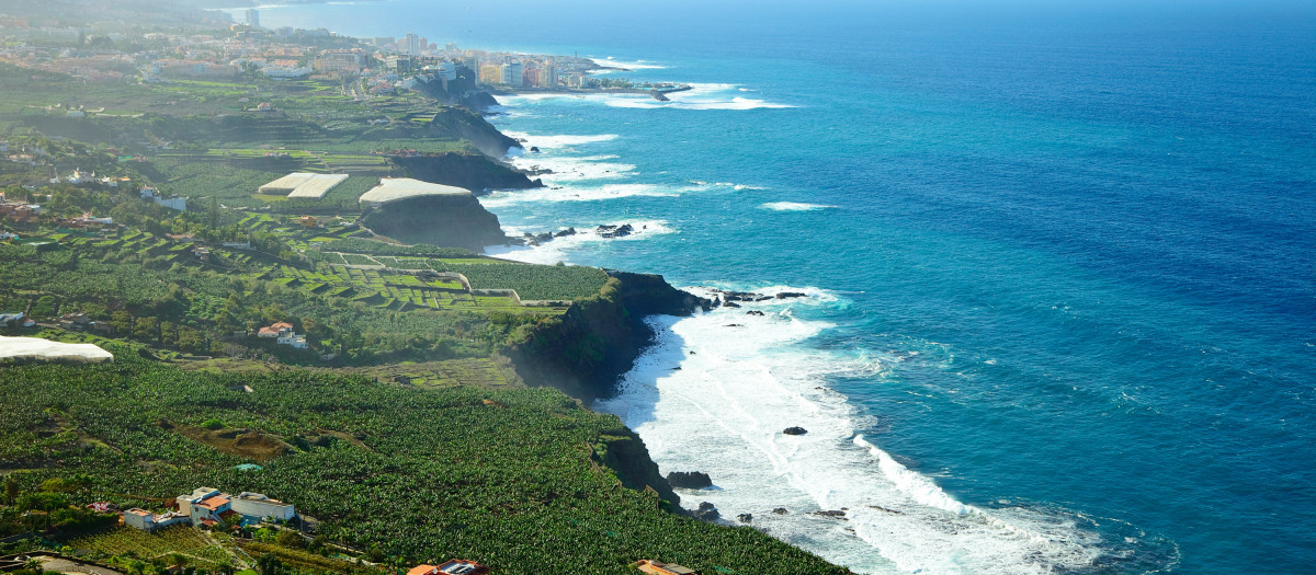 .SPAIN,COAST,BANANA,LANDSCAPE,SCENERY,COUNTRYSIDE,NATURE,SALT WATER,SEA,OCEAN,WATER,TRAVEL,TREE,HOLIDAY,VACATION,HOLIDAYS,VACATIONS,TOURISM,BEACH,SEASIDE,THE BEACH,SEASHORE,SUMMER,SUMMERLY,EUROPE,SPAIN,OUTDOOR,WAVE,COAST,ISLANDS,SIGHT,VIEW,OUTLOOK,PERSPECTIVE,VISTA,PANORAMA,LOOKOUT,CANARY,BANANA,IDYLLIC,TROPICAL,ISLAND,PLANTATION,LANDSCAPE,SCENERY,COUNTRYSIDE,NATURE,SCENE,LOCATION,SITE,RESORT,SPANISH,LANDMARK,SCENIC,ATLANTIC,FIRMAMENT,SKY,SALT WATER,SEA,OCEAN,WATER,SANDS,SAND,ISLE,CANARIES,TENERIFE,TENERIFE,COASTLINE,CANARIAN,PLAYA,CANARIAS,LAS