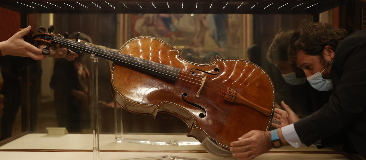 stradivarius palatinos