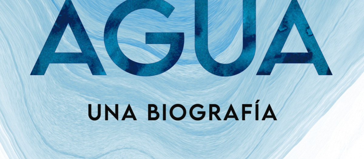 Agua de Giulio Boccaletti