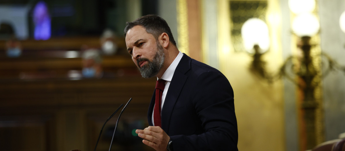 Santiago Abascal, durante una sesión plenaria en el Congreso a finales del pasado marzo