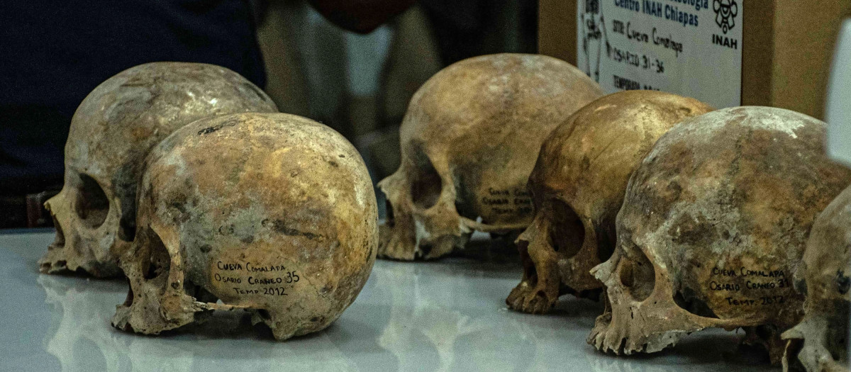 Vista de cráneos que son examinados por investigadores del Instituto Nacional de Antropología e Historia (INAH)