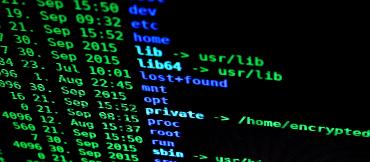 Internet es una red descentralizada que hace muy difícil un apagón total