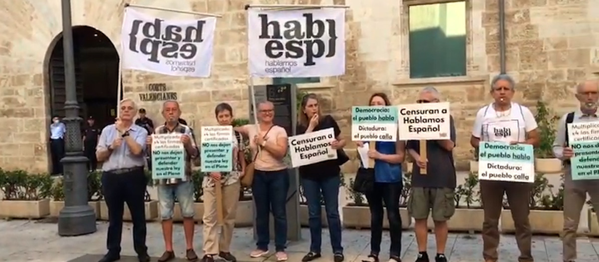 Hablamos español ante las Cortes Valencianas reivindicando el derecho a defender nuestra ley