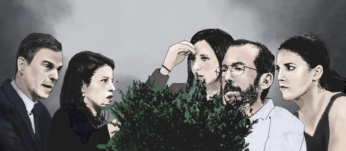 Ilustración de la guerra de guerrillas de PSOE y Unidas Podemos