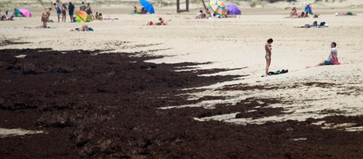 Playa de Cádiz