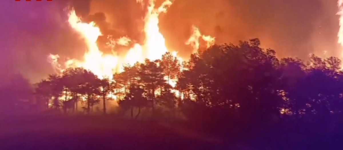Incendio de Castellar de la Ribera