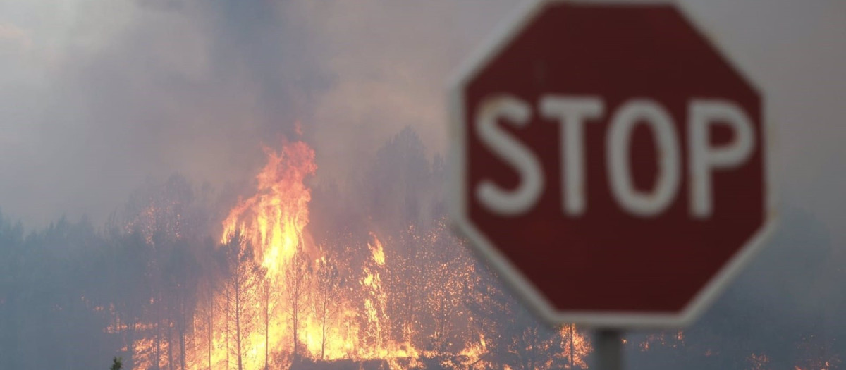 Uno de los incendios declarados este sábado en Navarra