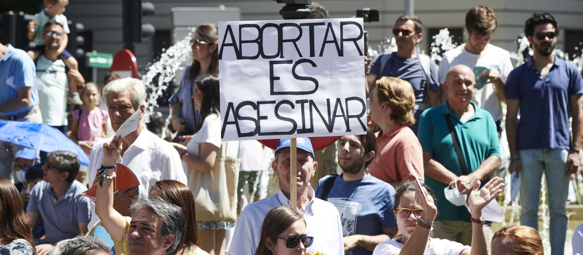 Manifestación provida en Madrid