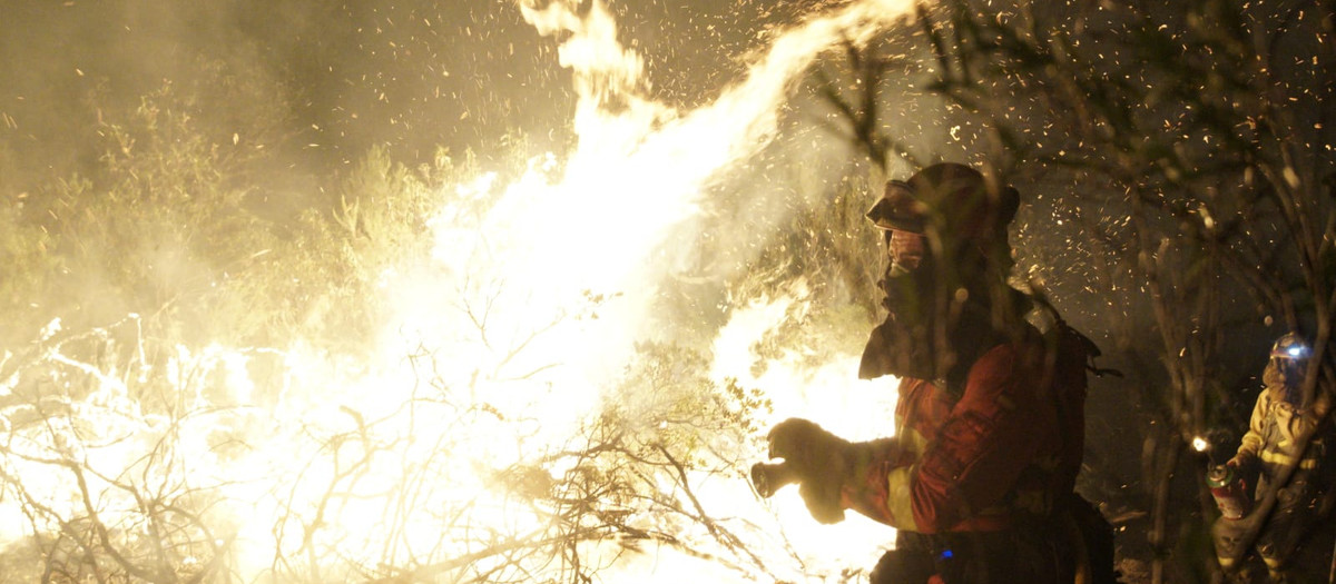 Los bomberos tratan de combatir el fuego declarado ayer en la localidad de El Ladrillar