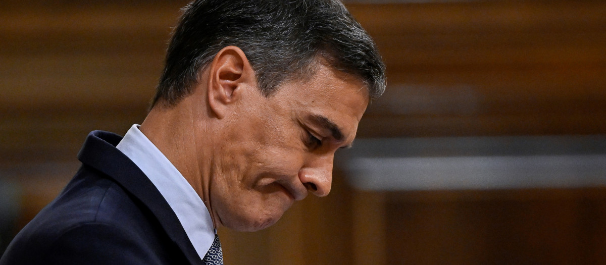 El presidente del Gobierno, Pedro Sánchez