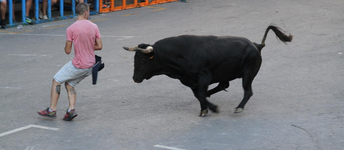 Una imagen de archivo de un momento de los 'bous al carrer'