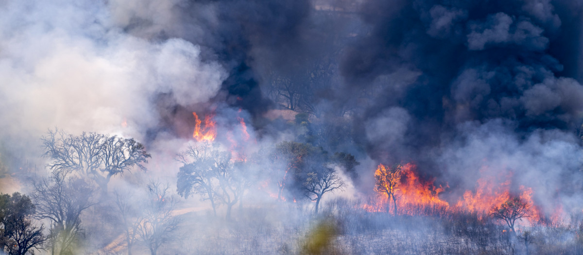 Una imagen que se repite estos días: nuestros montes, ardiendo