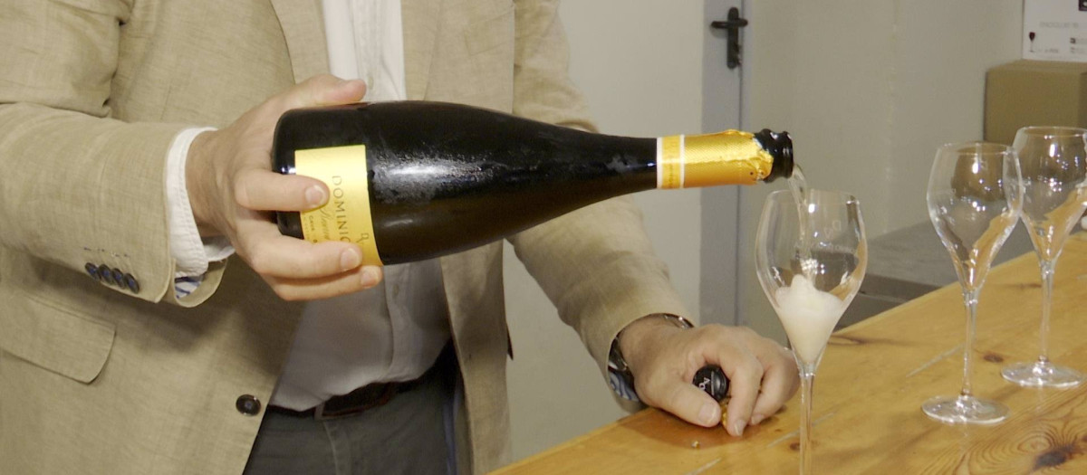 Cava de Requena y Almendralejo entran en el Consejo Regulador de la DO Cava