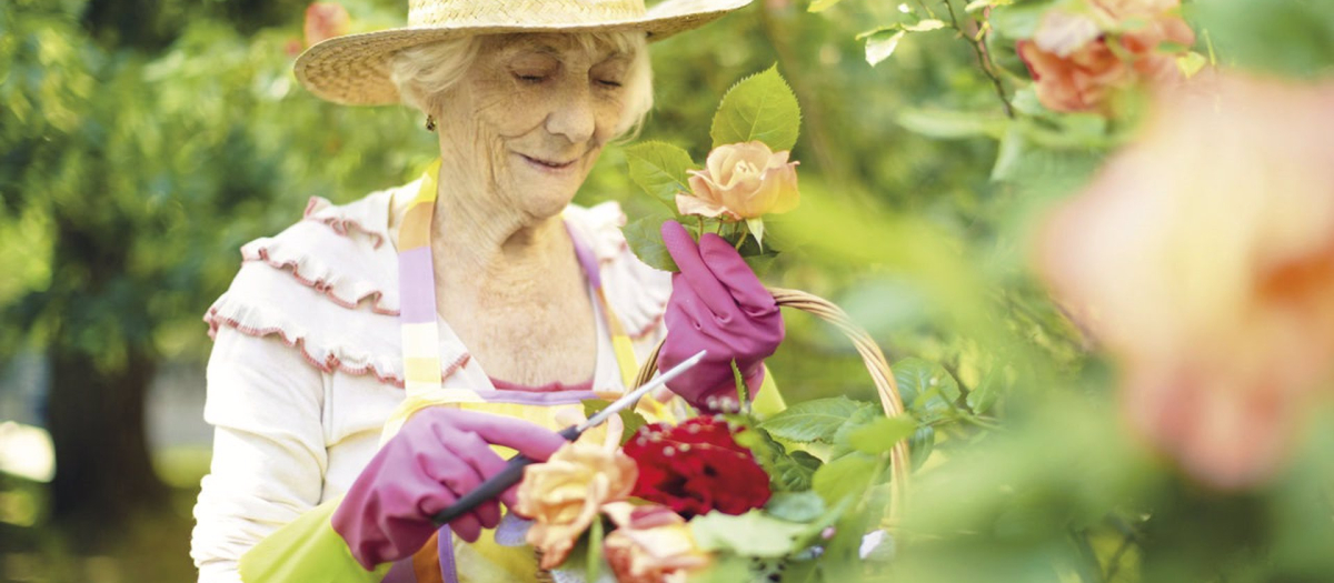 11/07/2018 Mayor, anciana, jardín, jardinería
ESPAÑA EUROPA MADRID SALUD
SANITAS