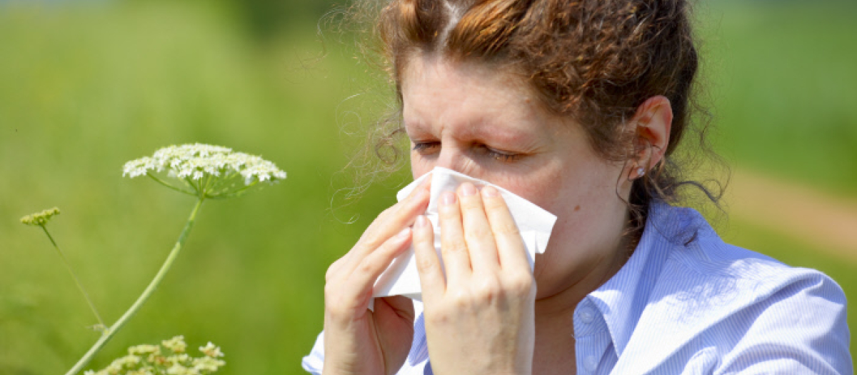 La alergia al polen puede durar todo el año